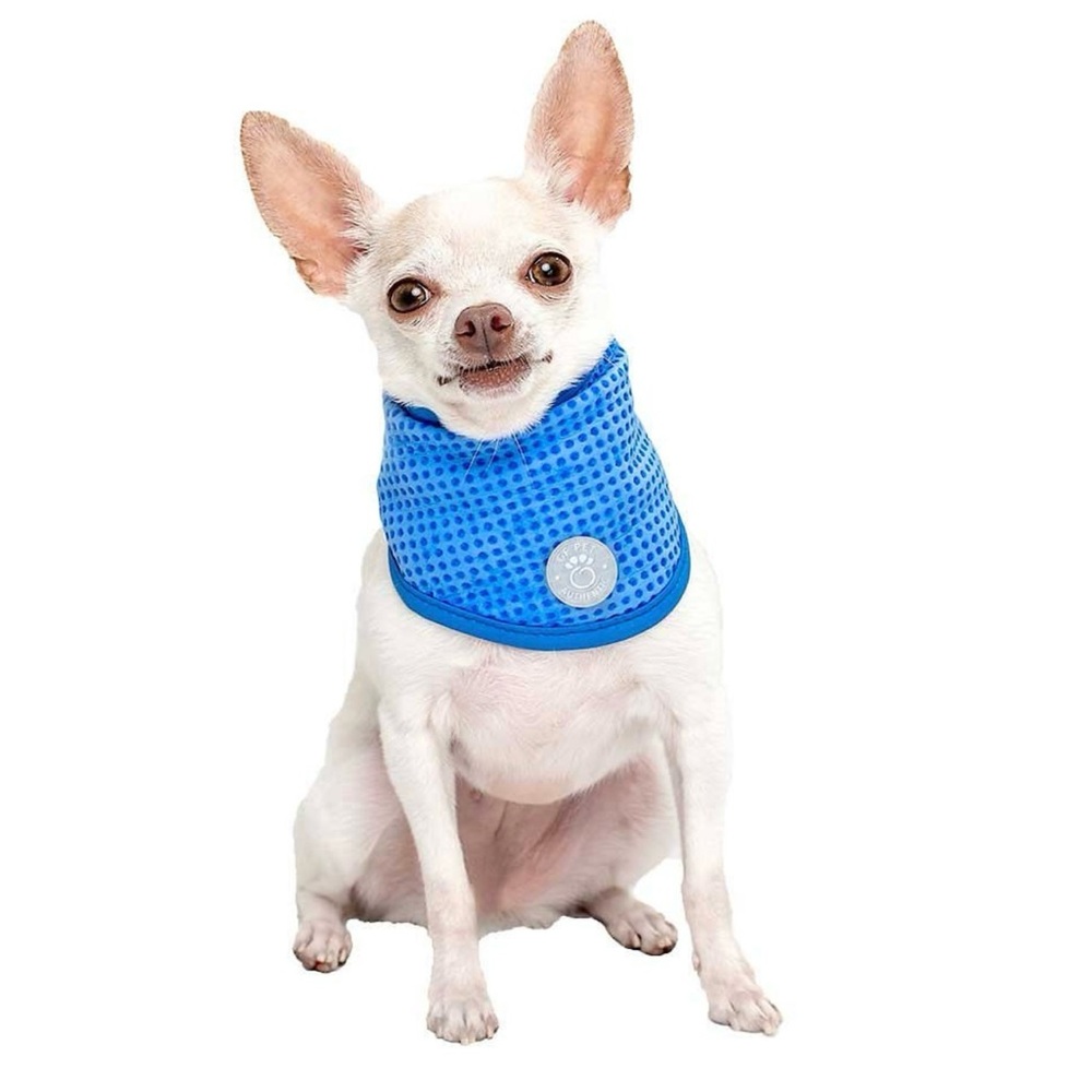 GF Pet Cooling Ice Band in Blue: Size XS: 7”-12”